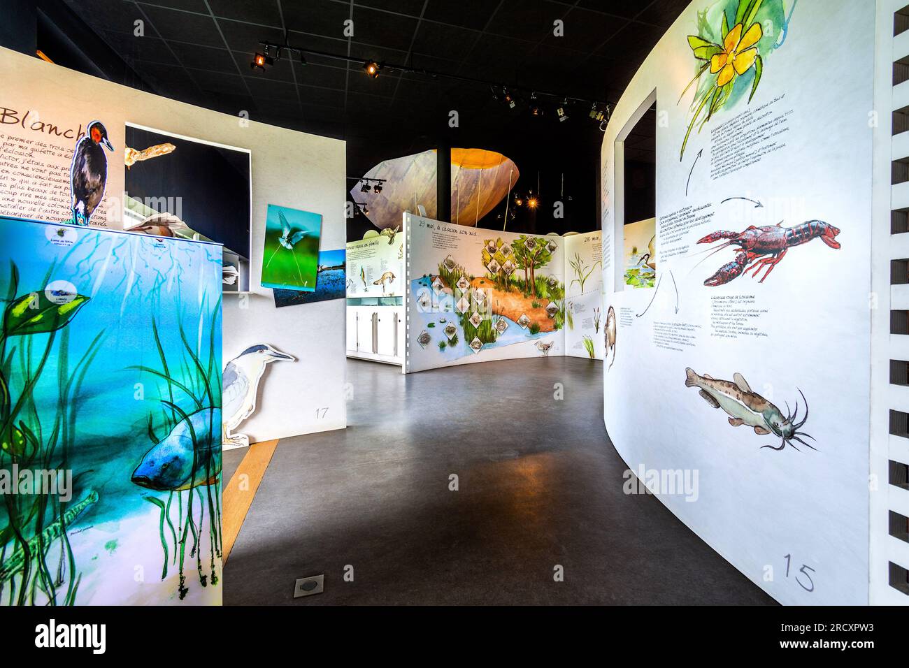 Interior of Chérine Nature Reserve visitor center, La Brenne, Indre (36), France Stock Photo