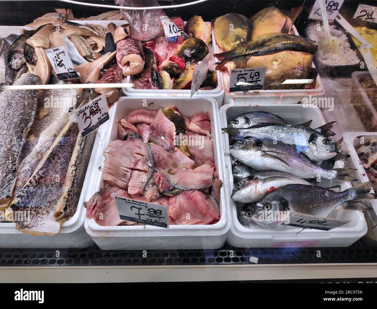 KATOWICE, POLAND - DECEMBER 9, 2022: Various types of fish with price tags  in specialized fish store in Katowice, Poland Stock Photo - Alamy