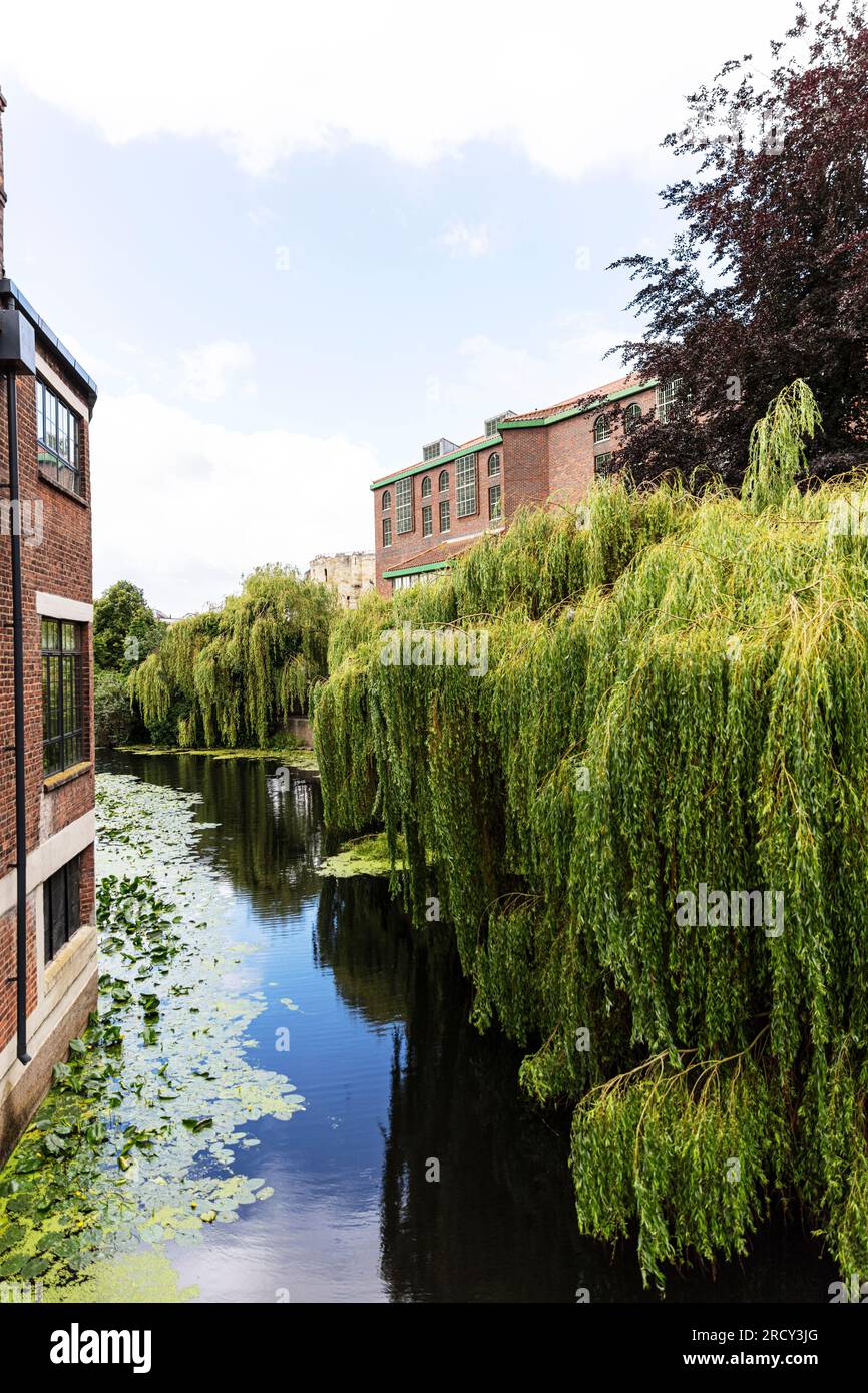 The river Ouse in York City UK, River Ouse, River Ouse York, York river