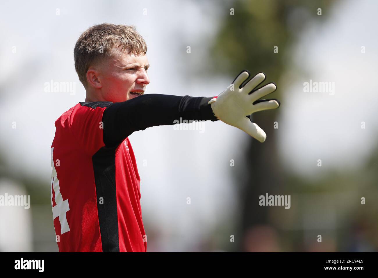 Joachim imbrechts hires stock photography and images Alamy