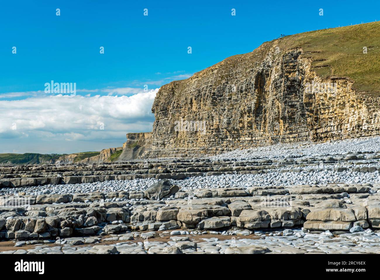 Monknash Beach with cliffs to your right in the midsummer period of ...