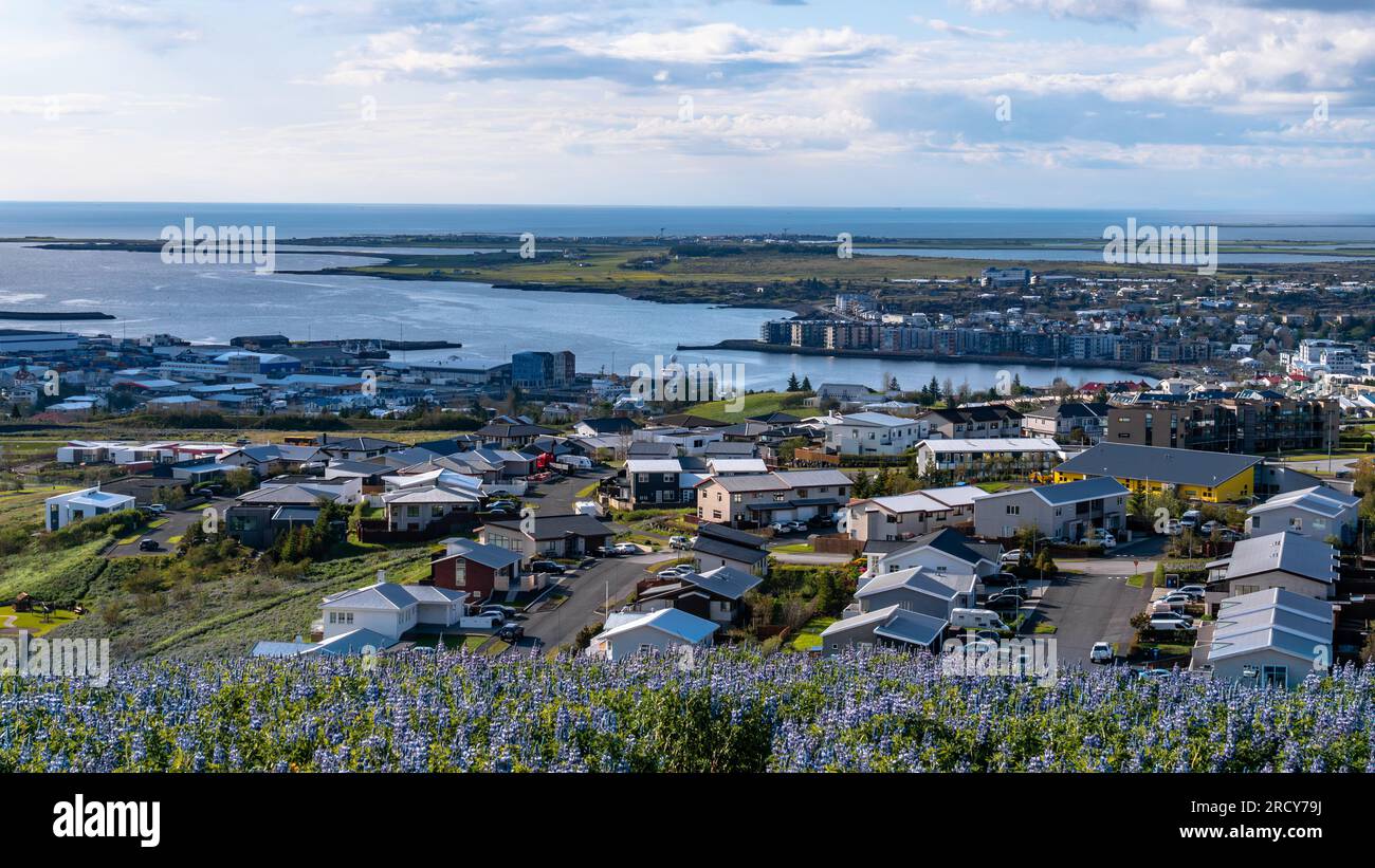 View over the town of Hafnarfjordur, Iceland with the port in the background. This safe harbor is the home port for many fishing boats and ships. Lupi Stock Photo