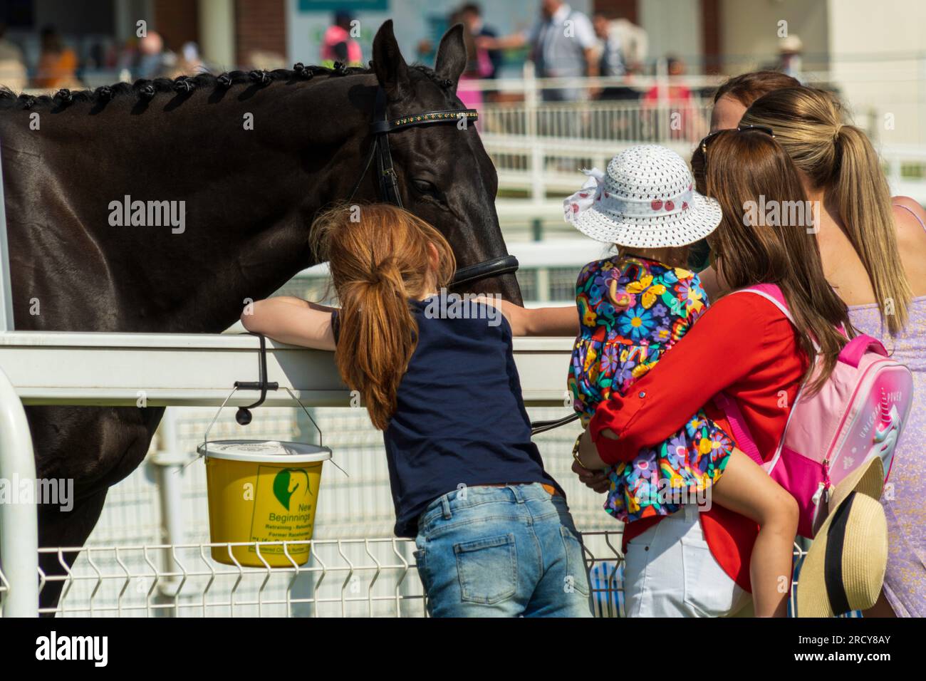 York Races, race day is a traditional horse racing event full of friends and families. Children love to pet, watch and learn about the race horses. Stock Photo
