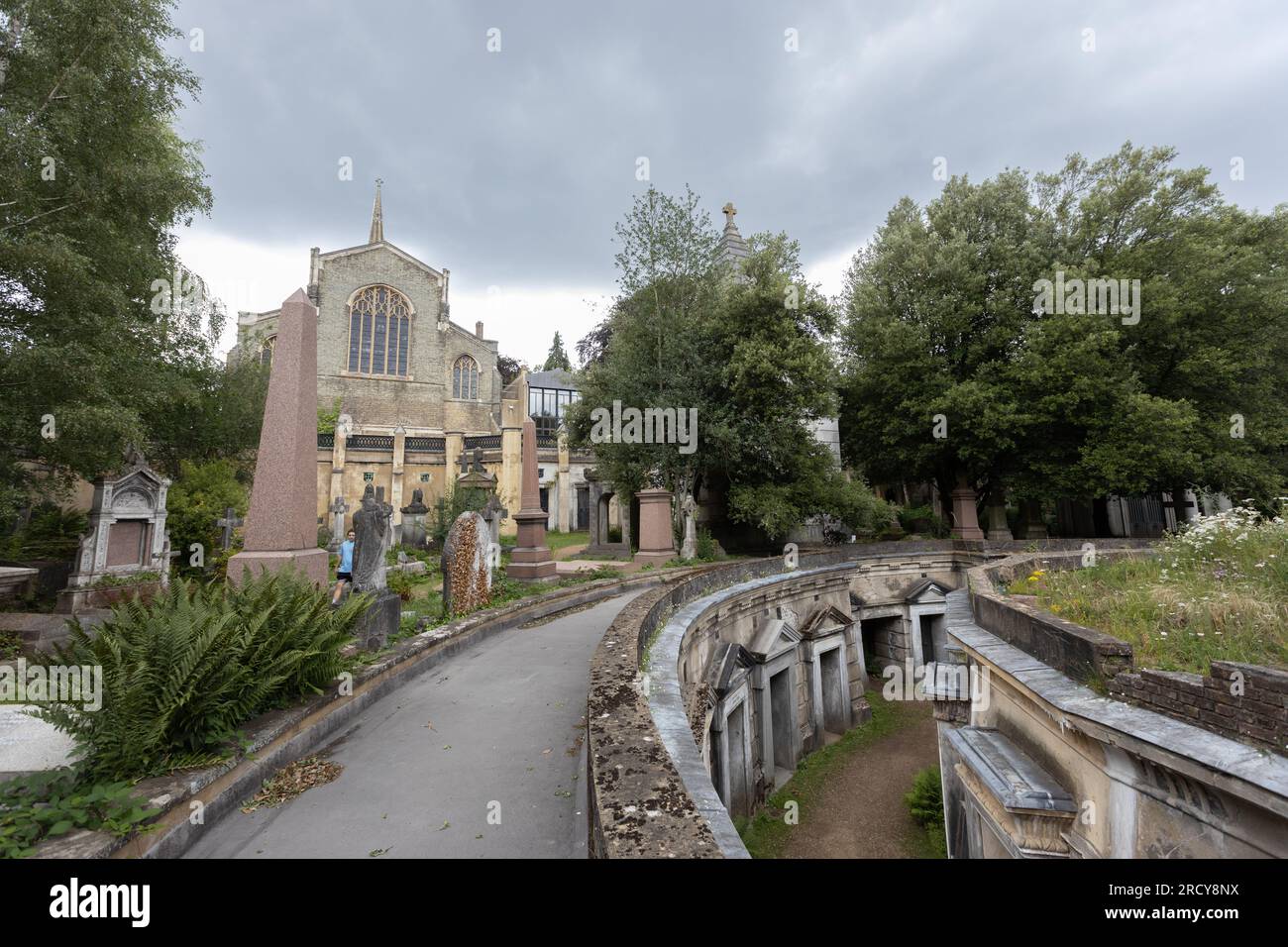 London, UK- 16 July 2023: Circle of Lebanon at the Highgate Cemetery ...