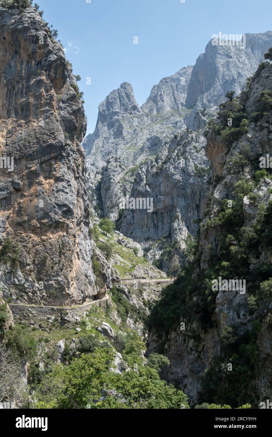 The landmark trail Ruta del Cares on the mountain side above the canyon of River Cares in Picos da Europa in Asturias in Spain Stock Photo