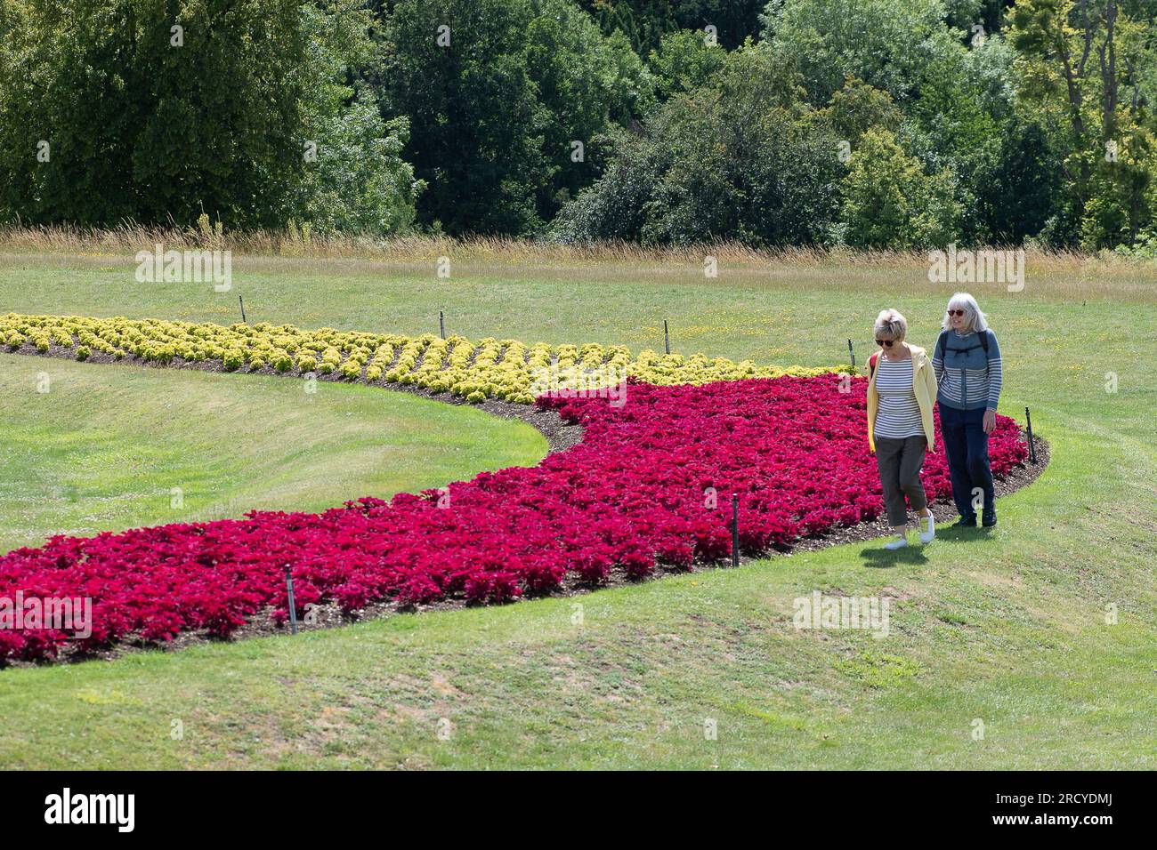 Taplow, Buckinghamshire, UK. 17th July, 2023. It was a lovely sunny day at Cliveden today as visitors enjoyed looking at the beautiful National Trust gardens. Credit: Maureen McLean/Alamy Live News Stock Photo