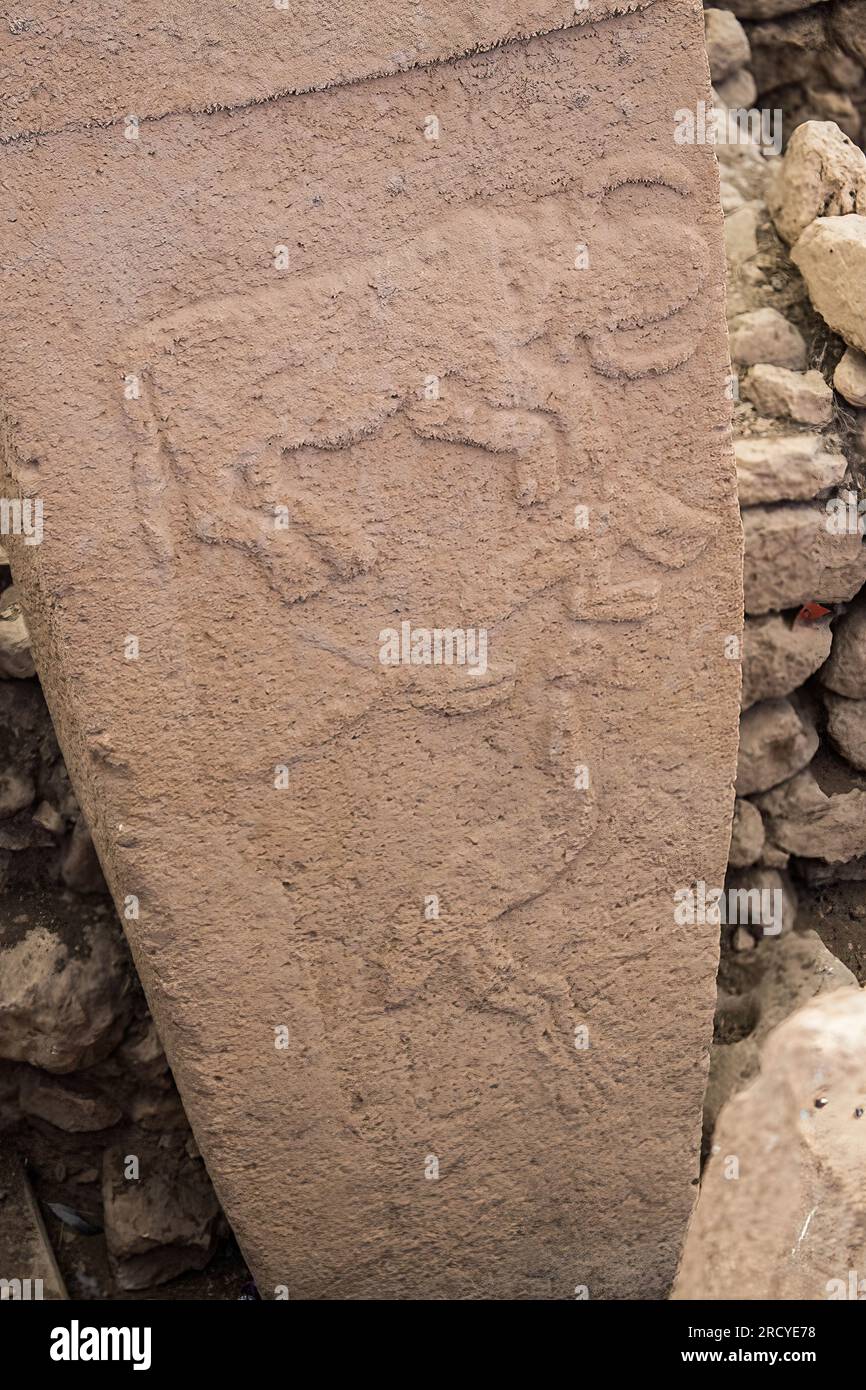 An archaeological surprise Stock Photo