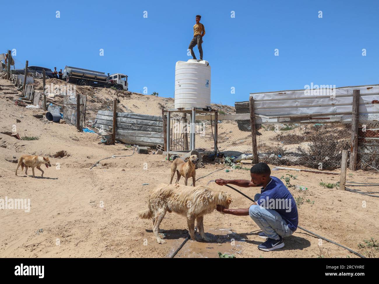 Gaza, Palestine. 17th July, 2023. A Palestinian man cools off dogs with ...