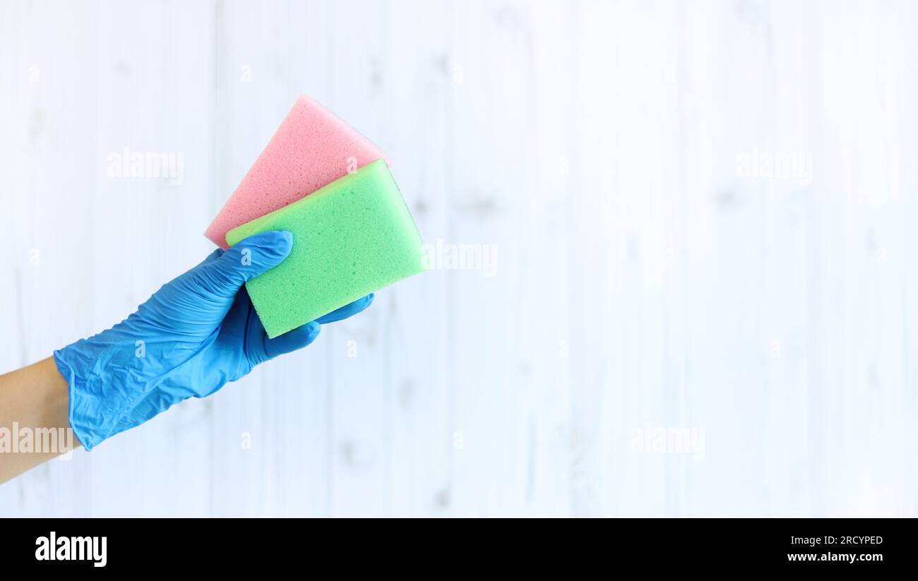Sponges for washing dishes in a female hand on a light wood background. A hand in a latex glove holds two sponges for wet cleaning. Professional clean Stock Photo