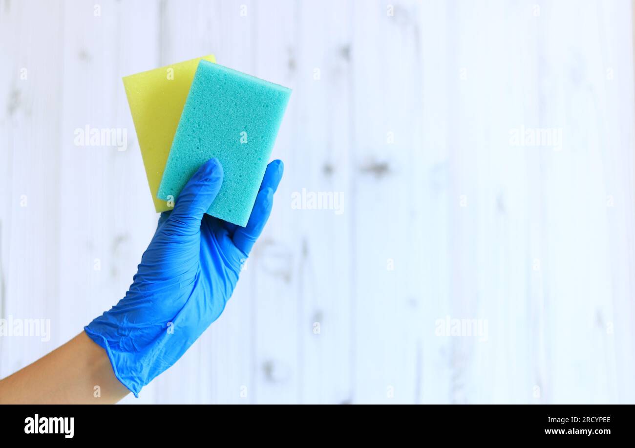 Sponges for washing dishes in a female hand on a light wood background. A hand in a latex glove holds two sponges for wet cleaning. Professional clean Stock Photo