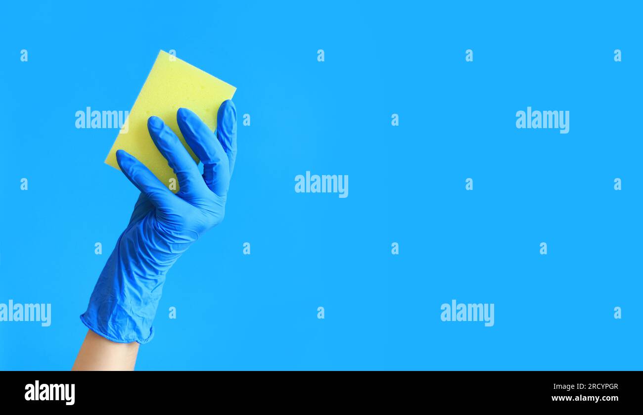 Sponge for washing dishes in a female hand on a blue background. A hand