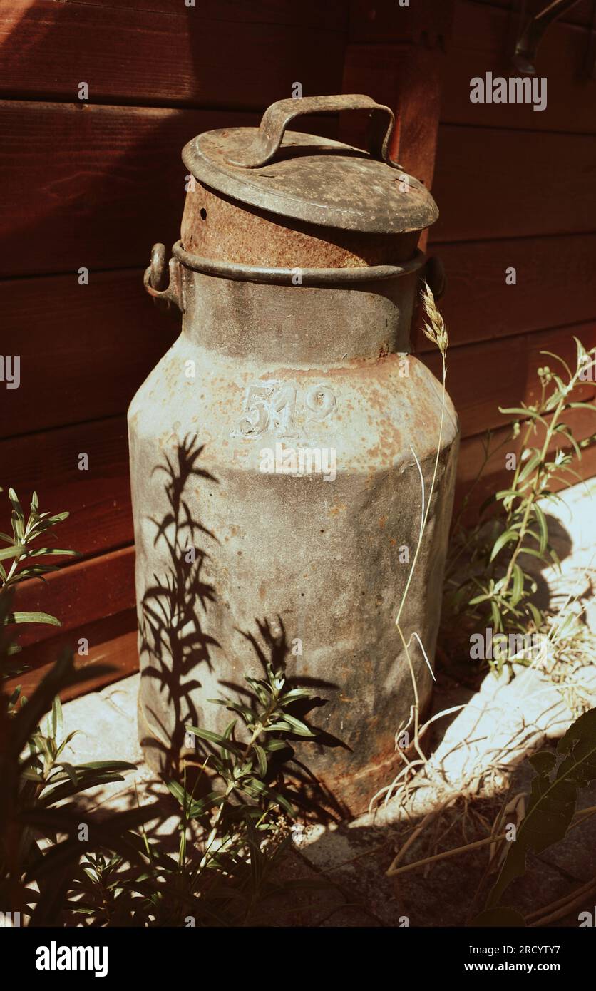 Old rusted milk churn stands in front of a wooden wall. Weeds grow around it Stock Photo