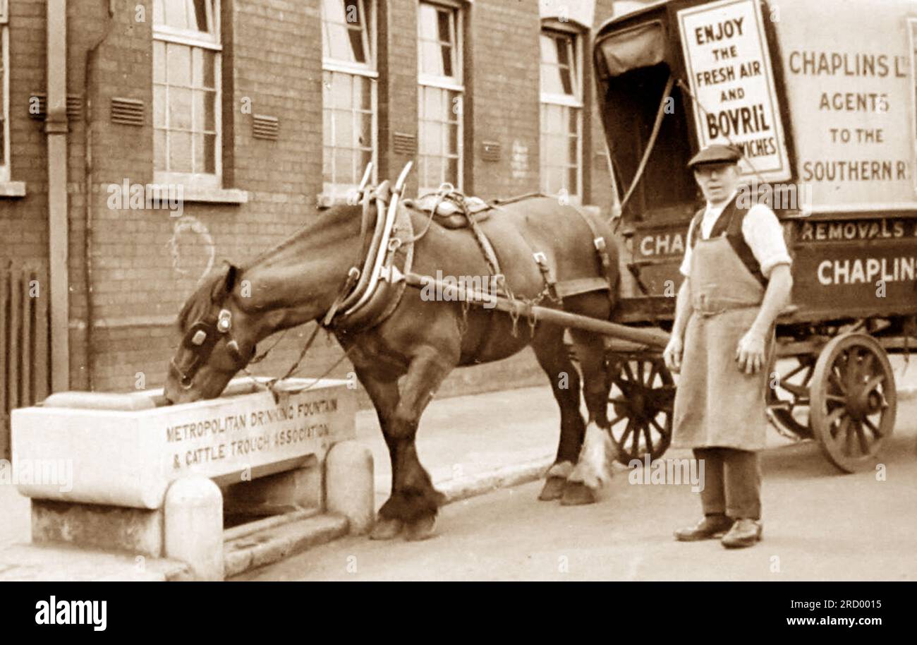 Horse drinking at a Metropolitan Drinking Fountain and Cattle Trough