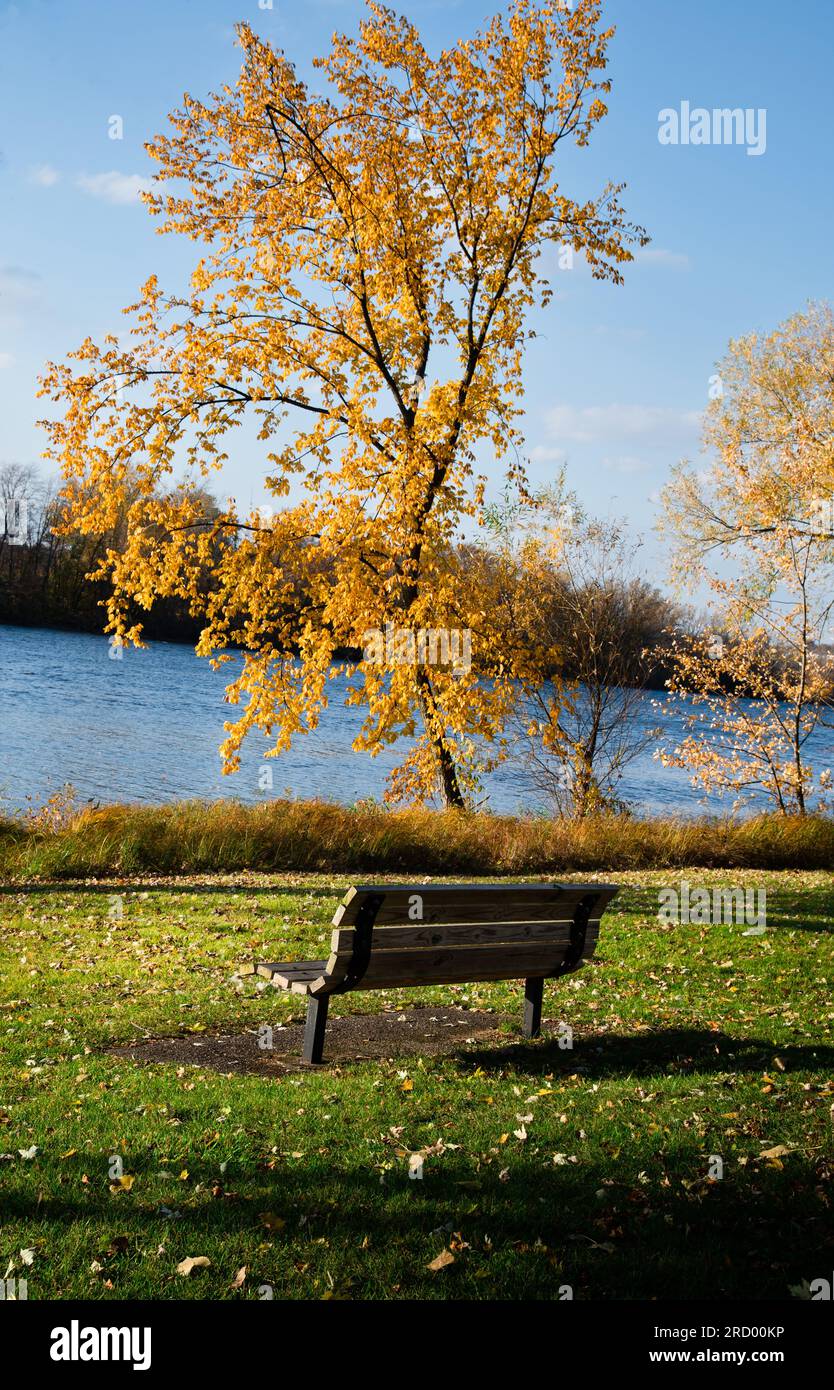 Empty park bench overlooking a river in autumn Stock Photo