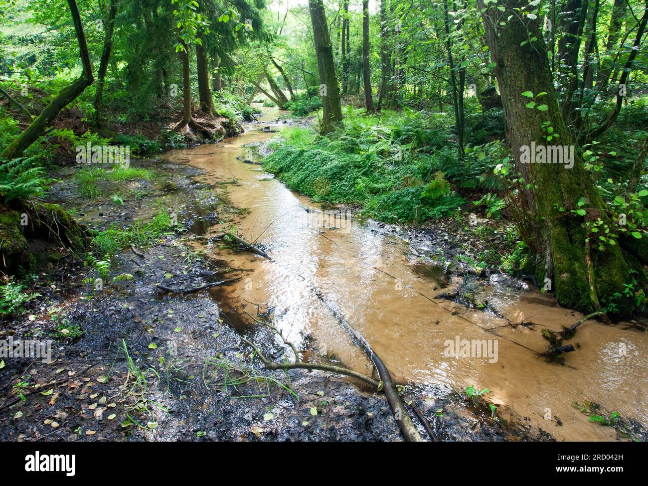 Springendal hi-res stock photography and images - Alamy