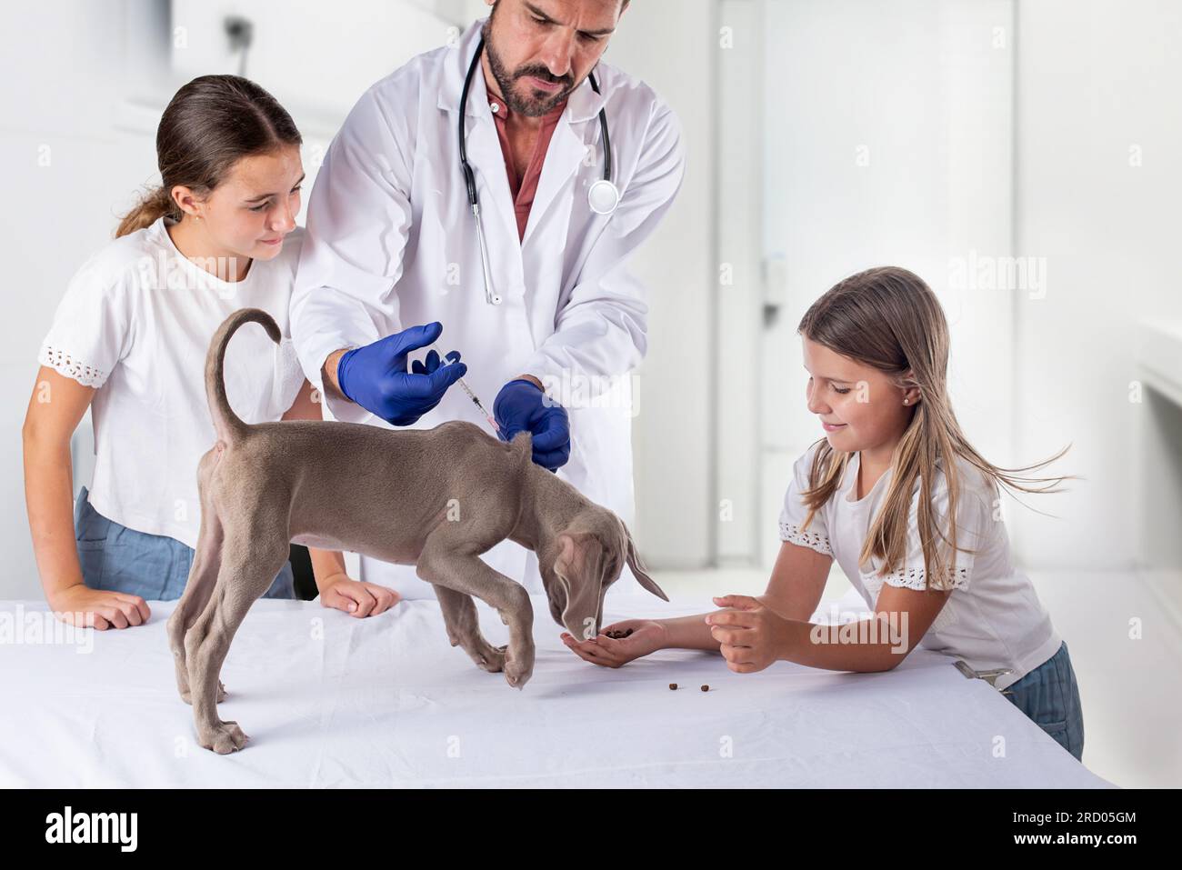 Veterinary clinic assistant hires stock photography and images Alamy