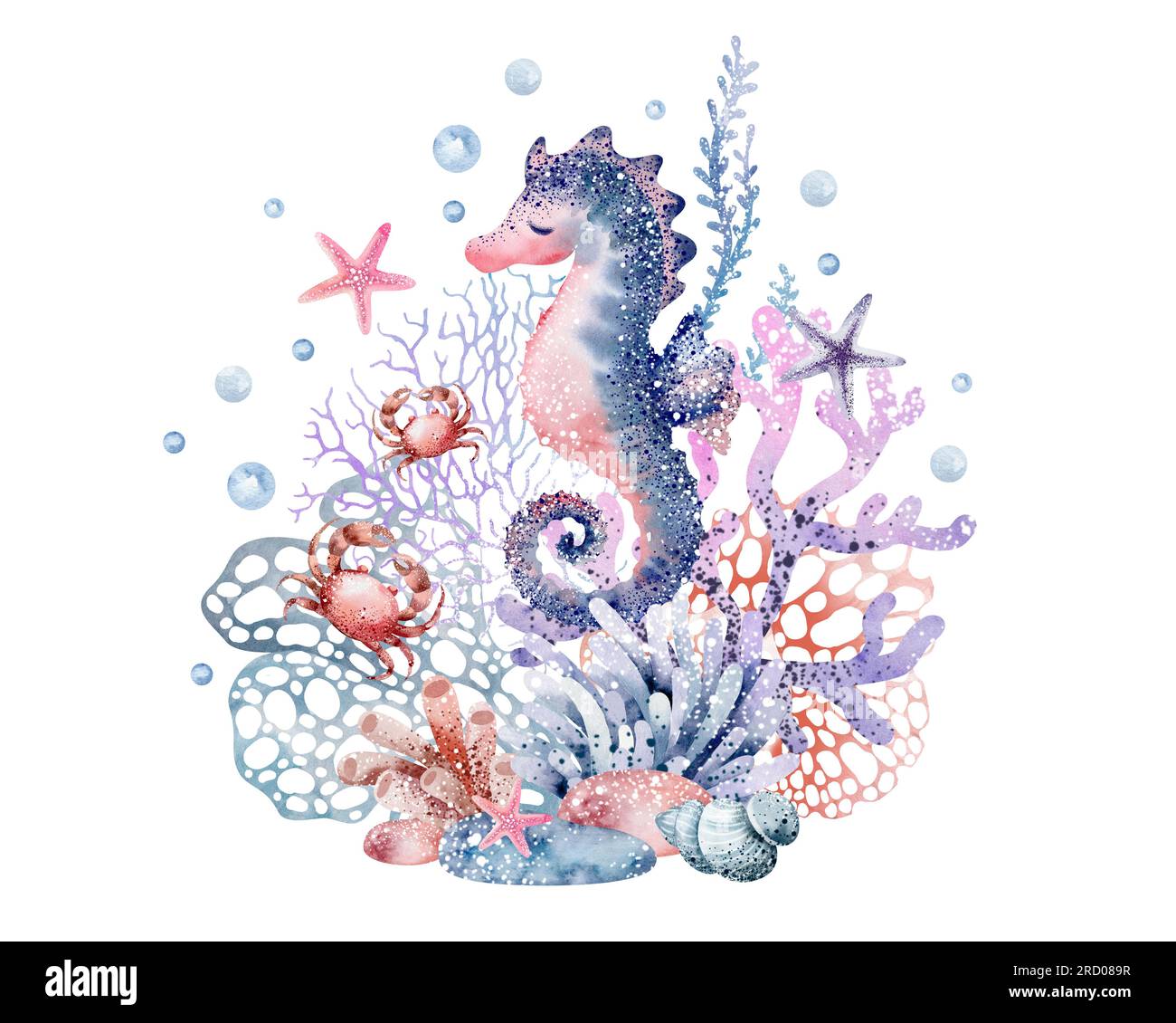 Sea animals set. Marine watercolor illustrations of seahorses, starfish