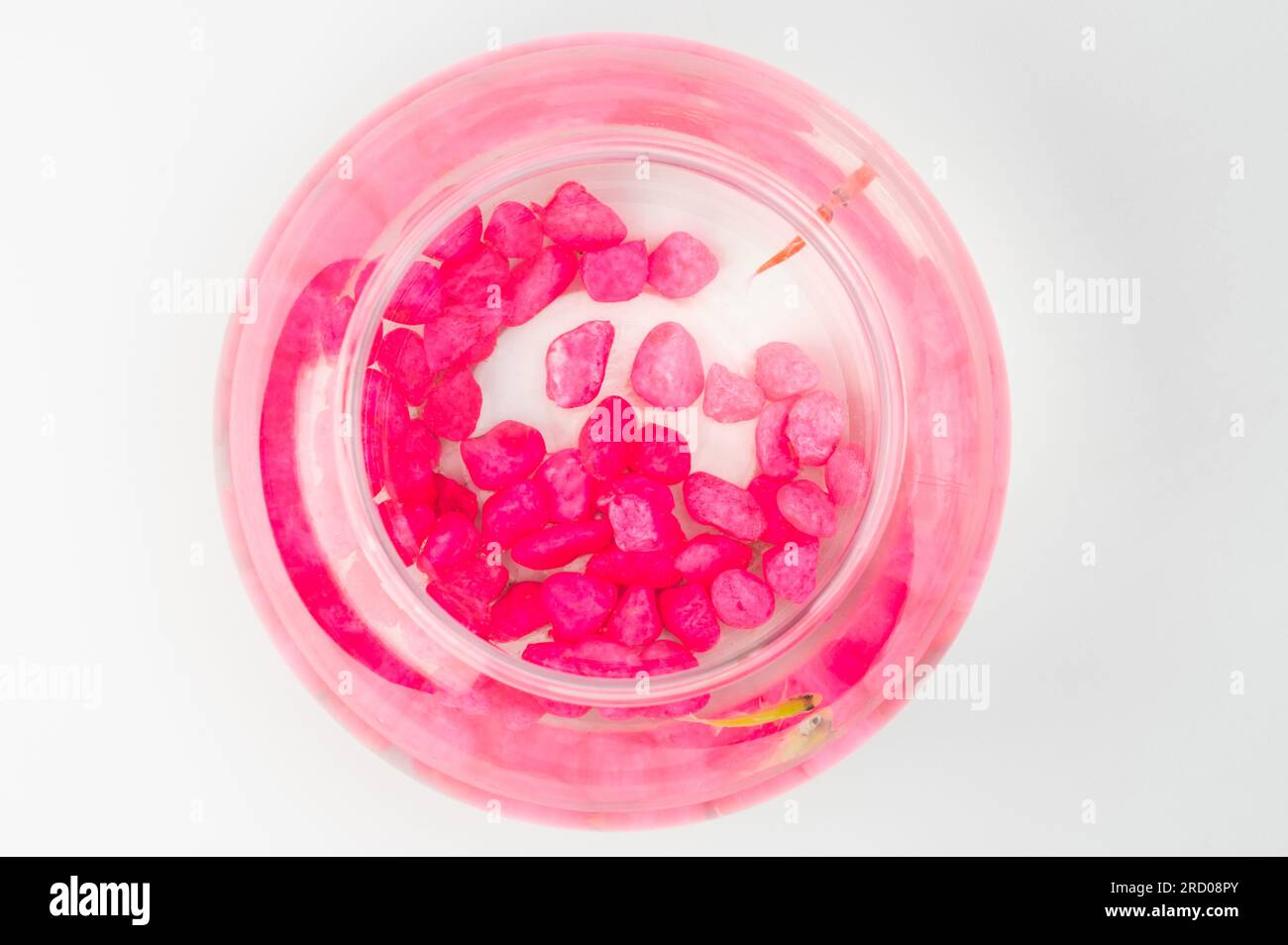 Round aquarium ball with two fishes and pink rocks above top view