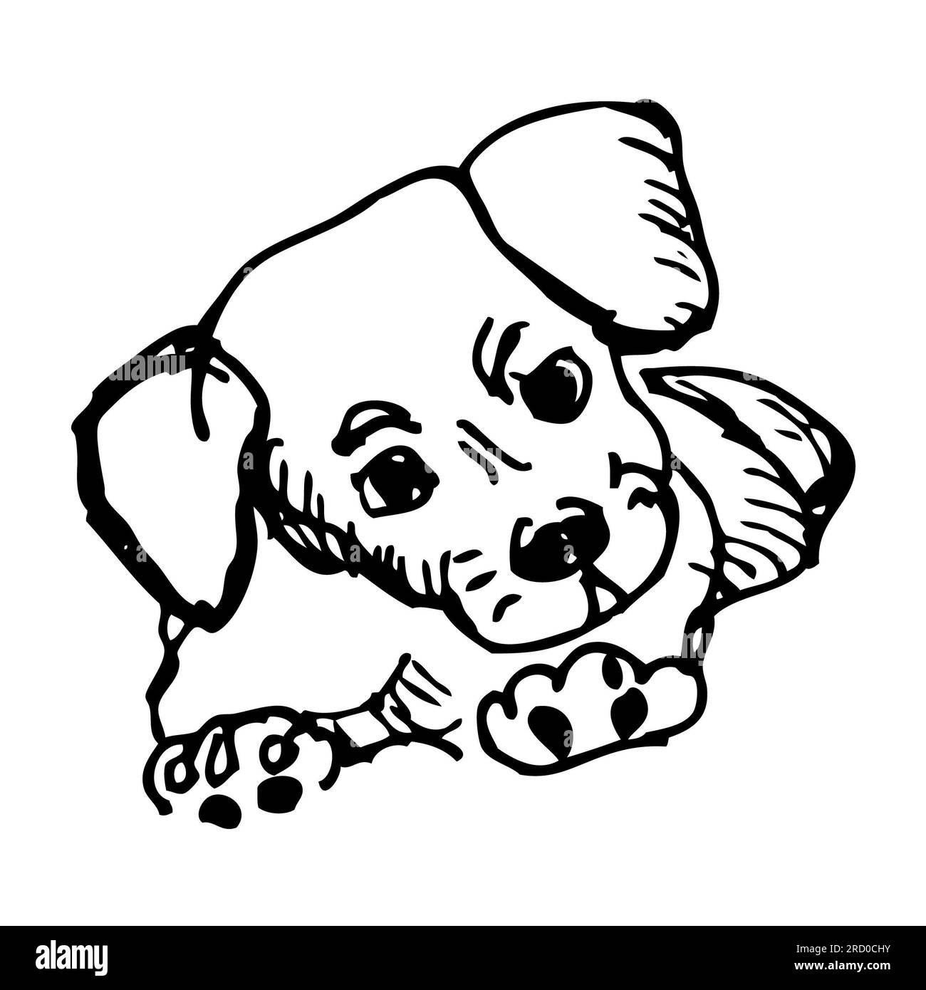Animal Welfare Poster Black And White Stock Photos Images Alamy animal-welfare-poster-black-and-white-stock-photos-images-alamy