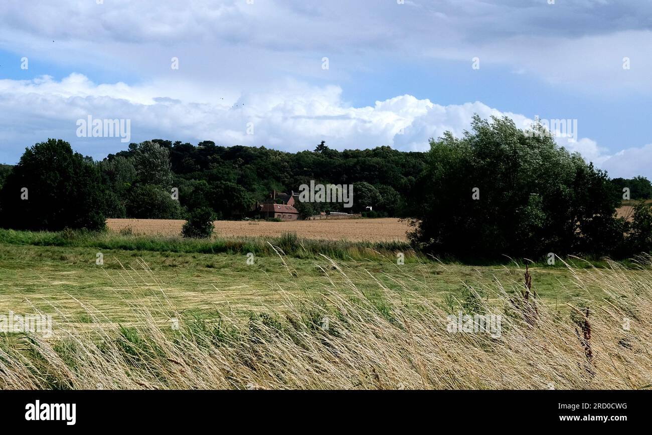 the countryside of fordwich town and sturry,city of canterbury,kent,uk