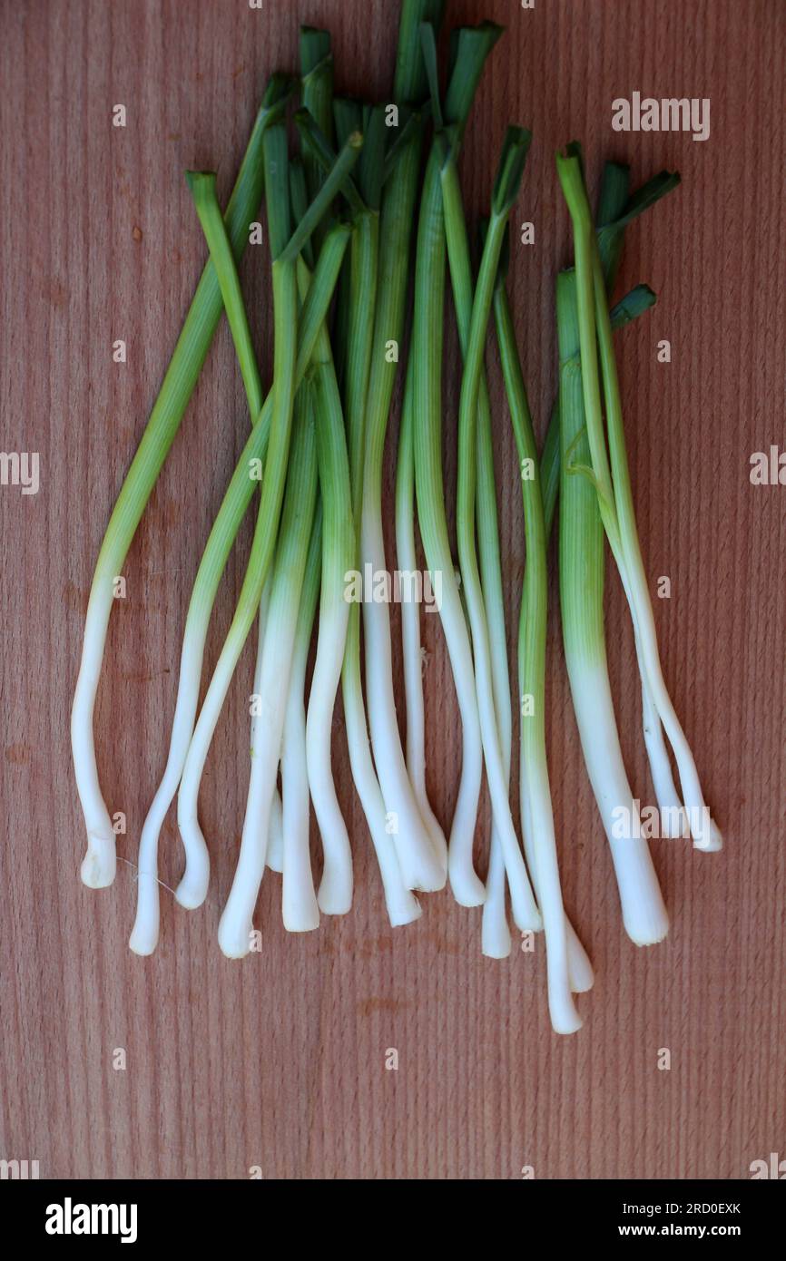 A bunch of peeled young garlic is on the kitchen board Stock Photo Alamy