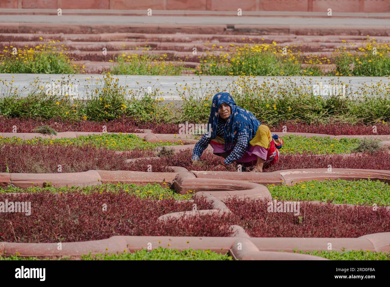 Agra, India — April 12, 2023. A long distance photo of a woman weeding a garden under the hot sun in Fort Agra, India. Stock Photo