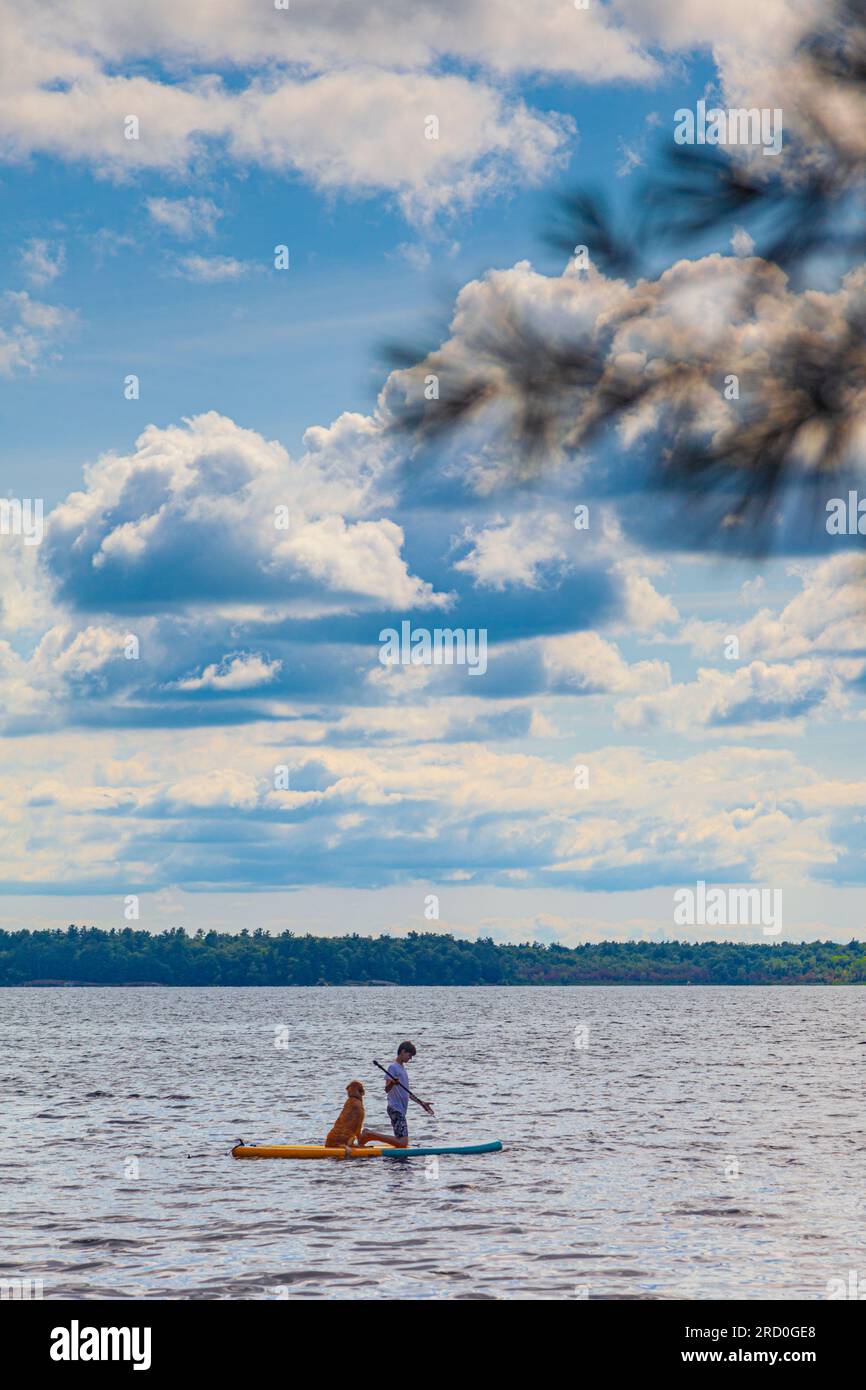 Boy and the family dog paddling on Sparrow Lake Muskoka Ontario Canada Stock Photo