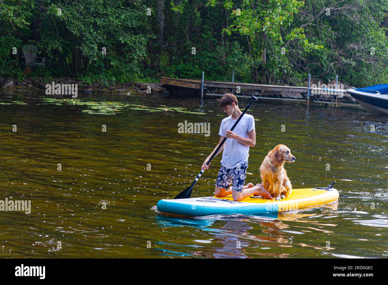 Teenaged boy and the family dog paddling on Sparrow Lake Muskoka Ontario Canada Stock Photo