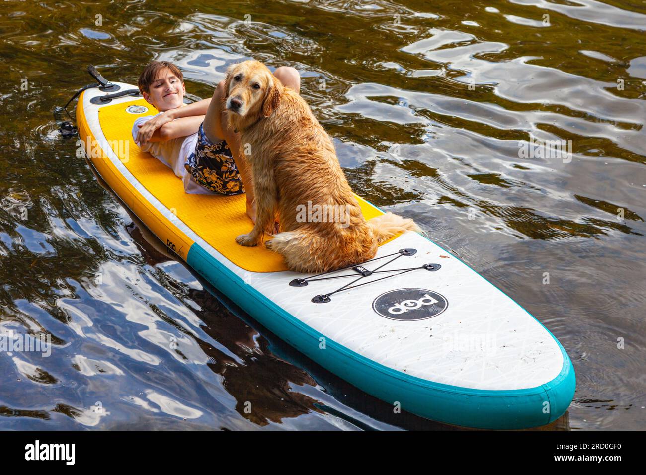 Teenaged boy and the family dog paddling on Sparrow Lake Muskoka Ontario Canada Stock Photo
