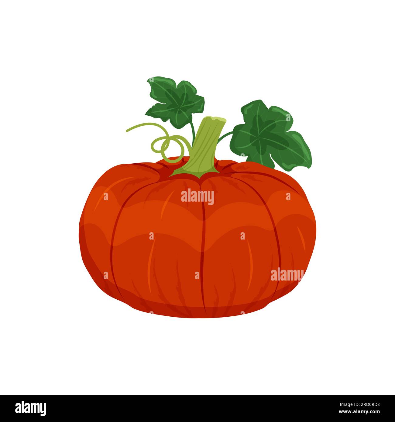 Yellow orange pumpkin with leaves and shoots, autumn vegetable harvest ...