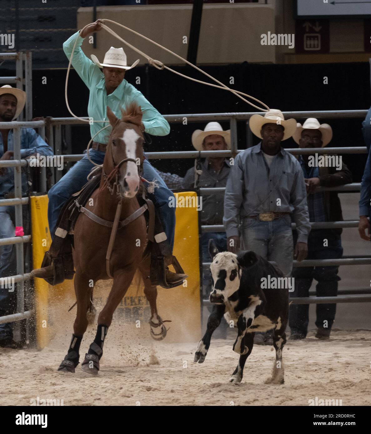 Bill pickett rodeo hires stock photography and images Alamy