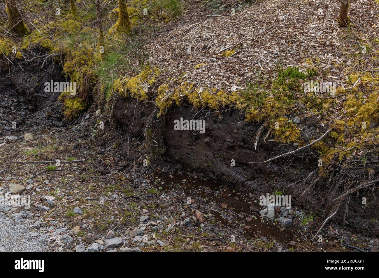 Showing a thick layer of Peat where the ground has been cut away in the Scottish Highlands Stock Photo