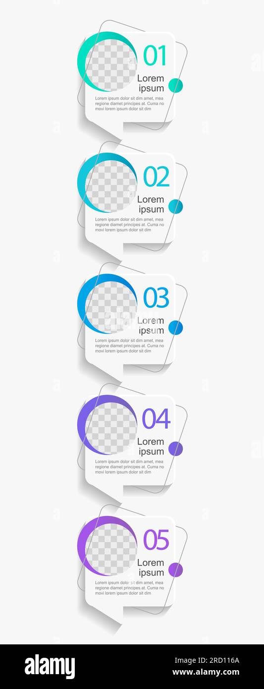 Internship abroad infographic chart design template Stock Vector