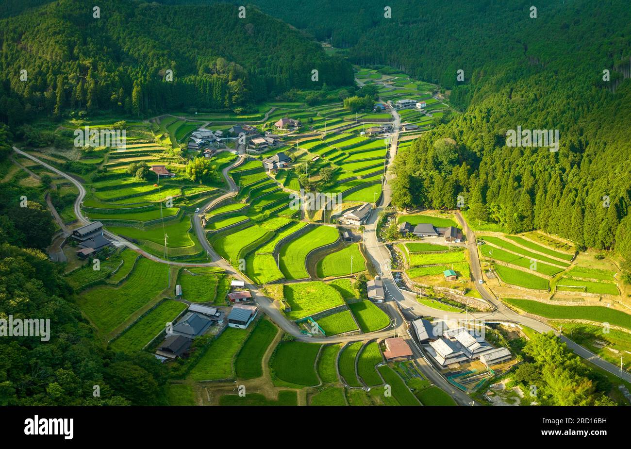 Aerial view of green terraced rice fields in traditional village Stock ...