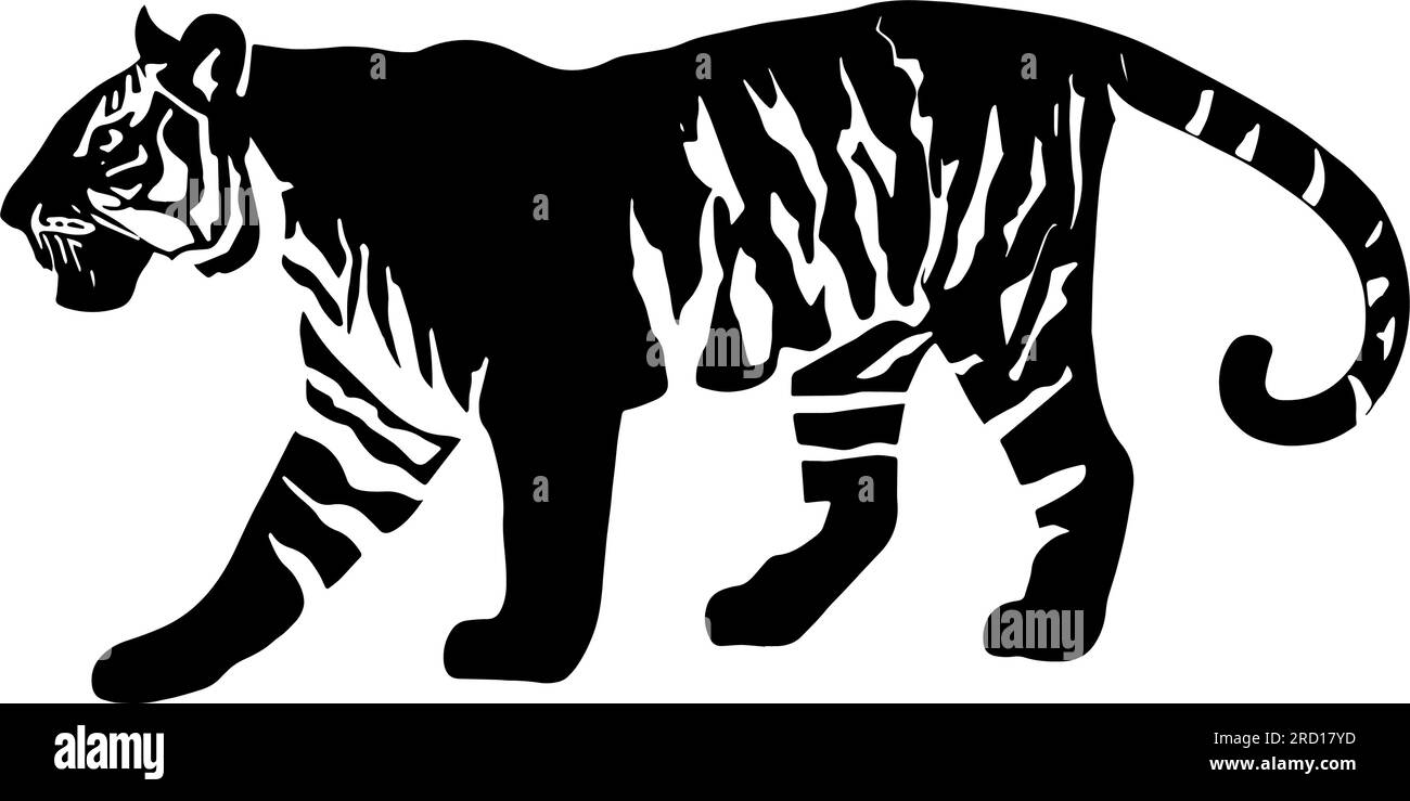 Tiger line art vector silhouette Stock Photo - Alamy