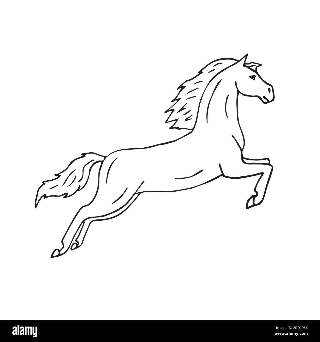 Vector hand drawn sketch dressage horse jumping isolated on white ...