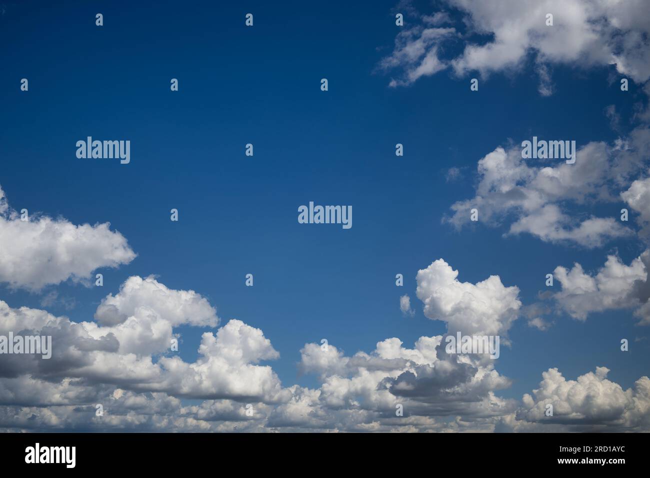 Sunlight casting soft glow scene hi-res stock photography and images ...