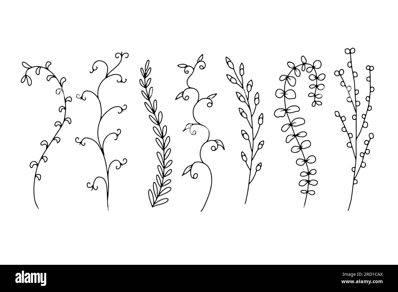 Hand drawn wild flowers illustrations set isolated on white background ...