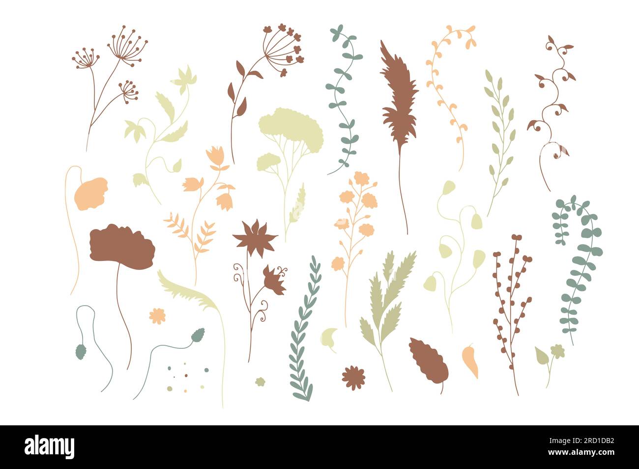 Hand drawn abstract wild flowers illustrations set isolated on white ...