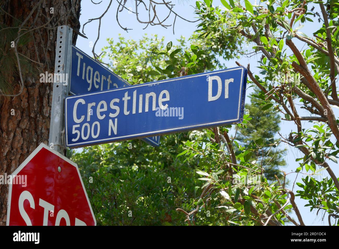 Los Angeles, California, USA 16th July 2023 Crestline Drive in Brentwood on July 16, 2023 in Los