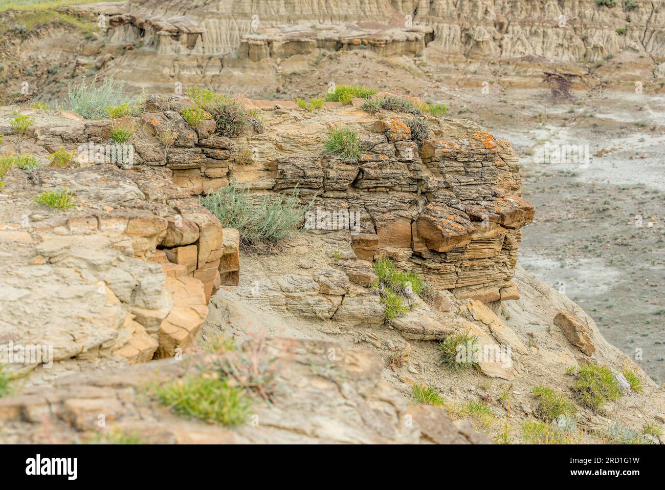 Unique rock formations and hoodoos shaped by erosion in the Avonlea ...