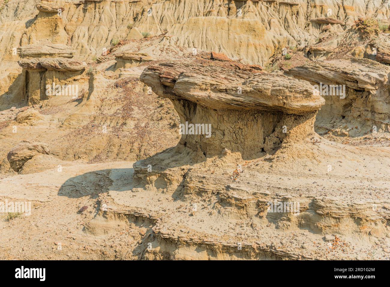 Unique rock formations and hoodoos shaped by erosion in the Avonlea ...
