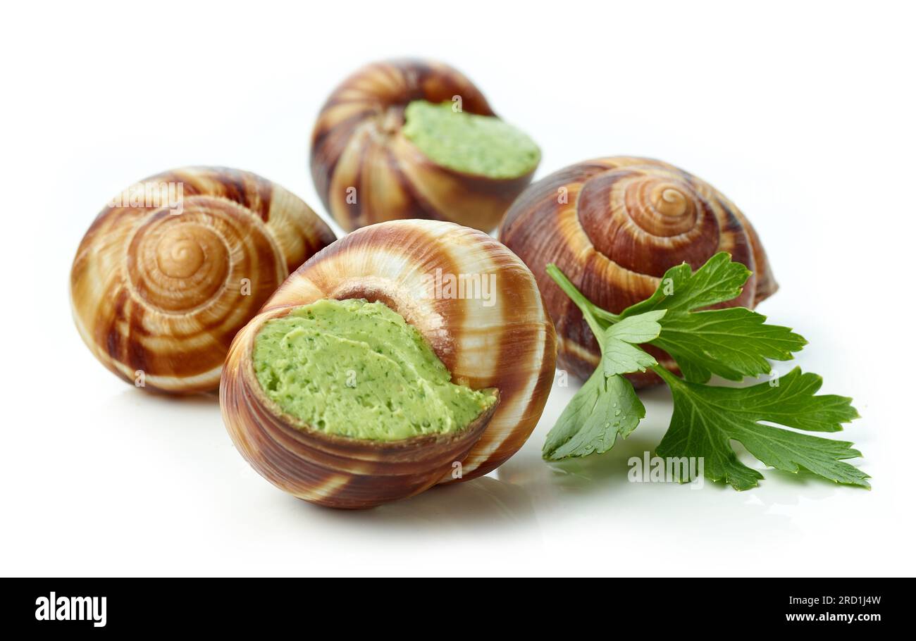 escargot snail filled with garlic and parsley butter isolated on white