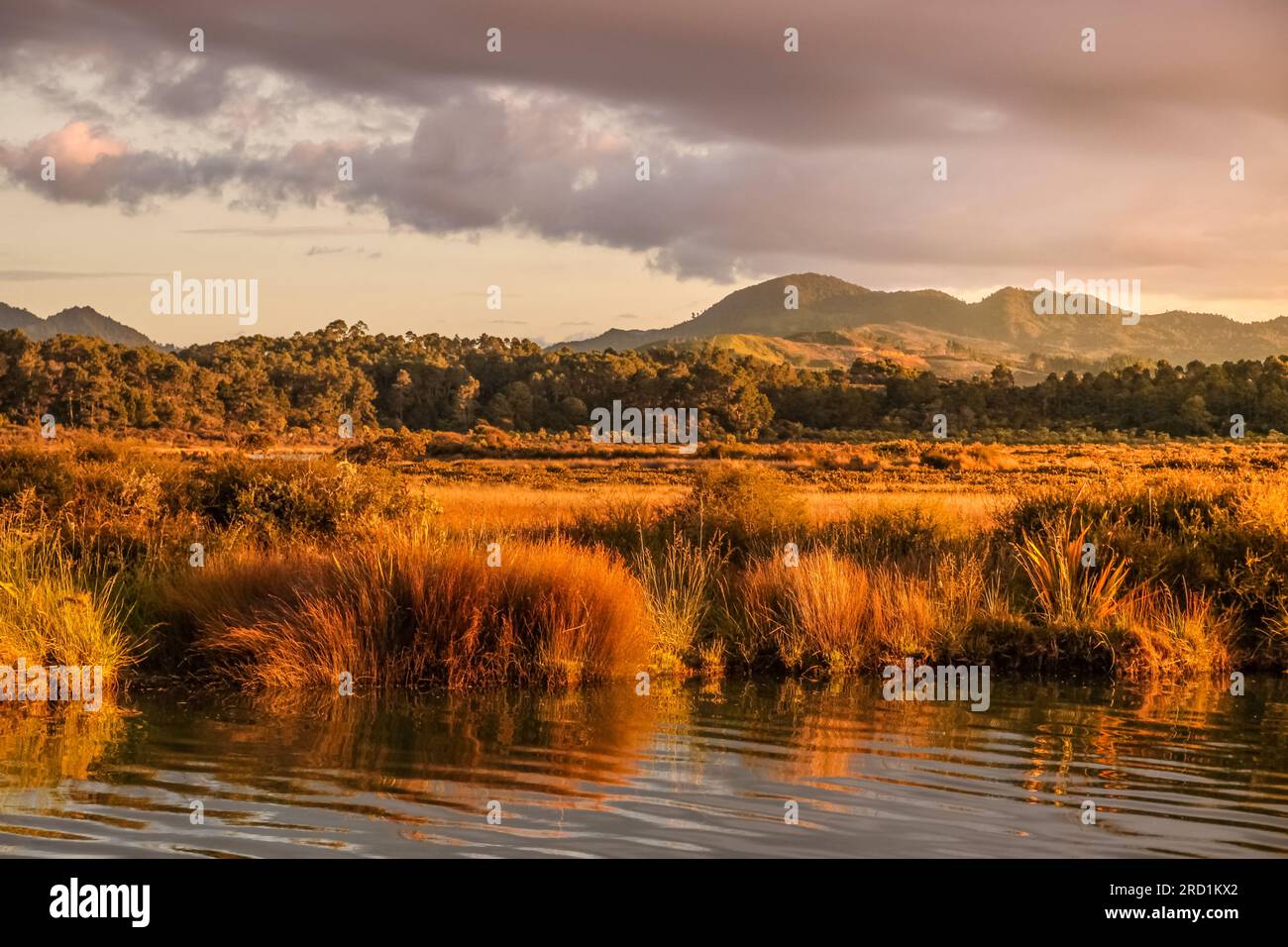 geography / travel, New Zealand, Waikato, Coromandel, untouched coast