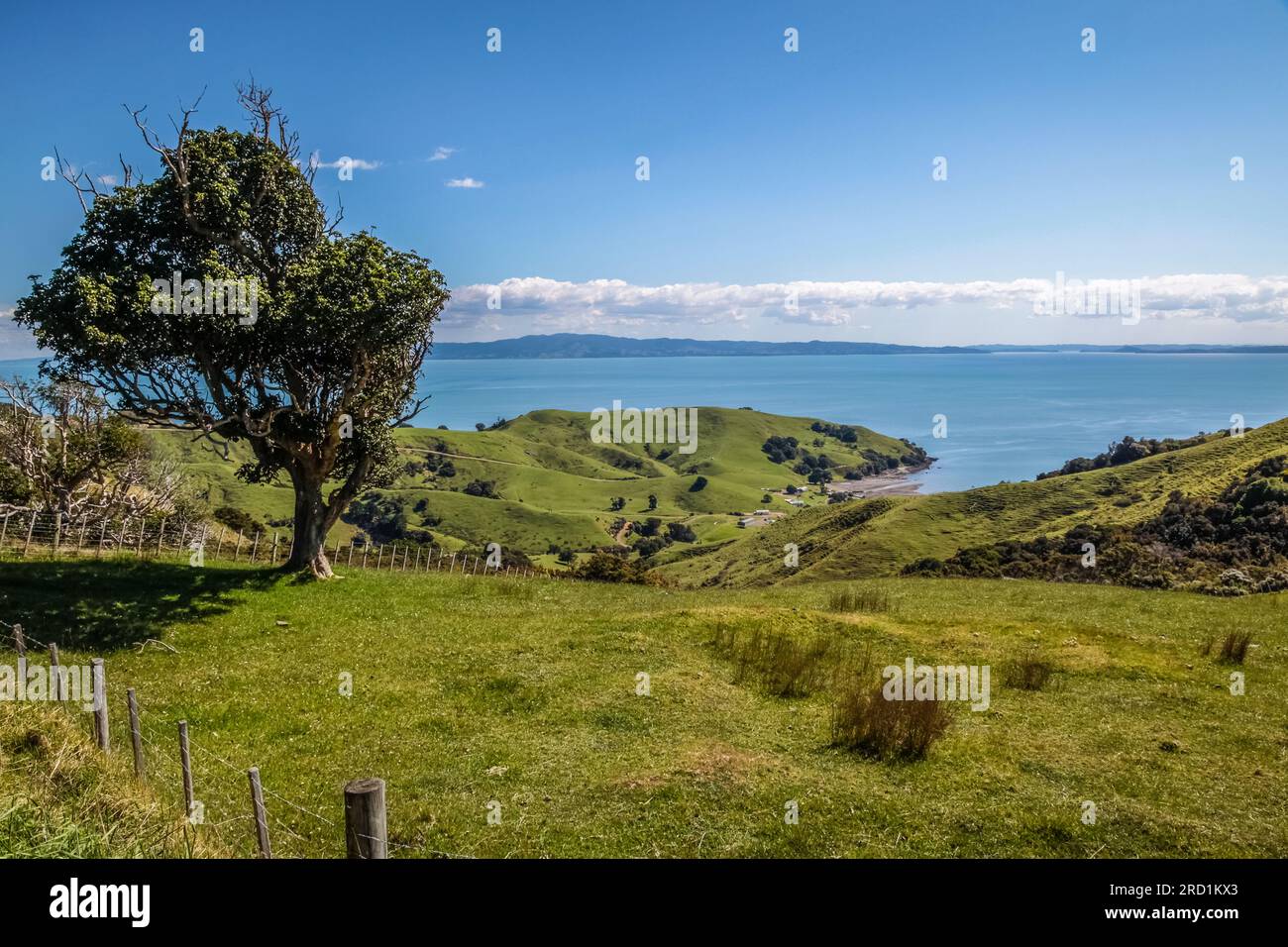 geography / travel, New Zealand, Waikato, meadow and hill on the