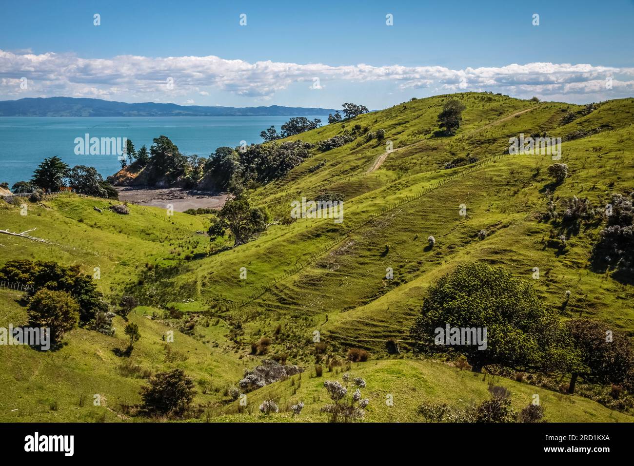 geography / travel, New Zealand, Waikato, meadow and hills on the