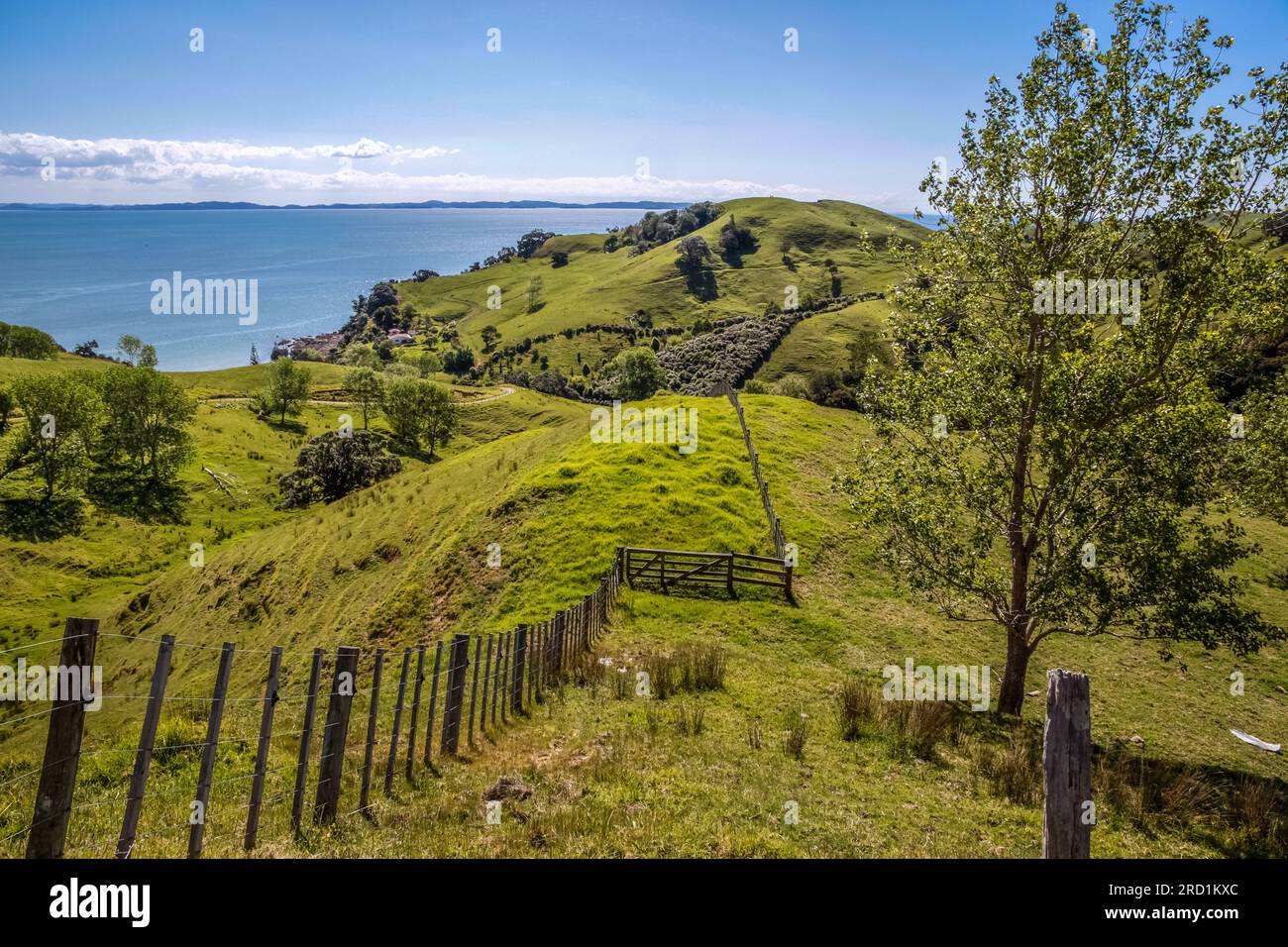 geography / travel, New Zealand, Waikato, meadow and hill on the Coromandel-Halbinsel, Waikato, ADDITIONAL-RIGHTS-CLEARANCE-INFO-NOT-AVAILABLE Stock Photo