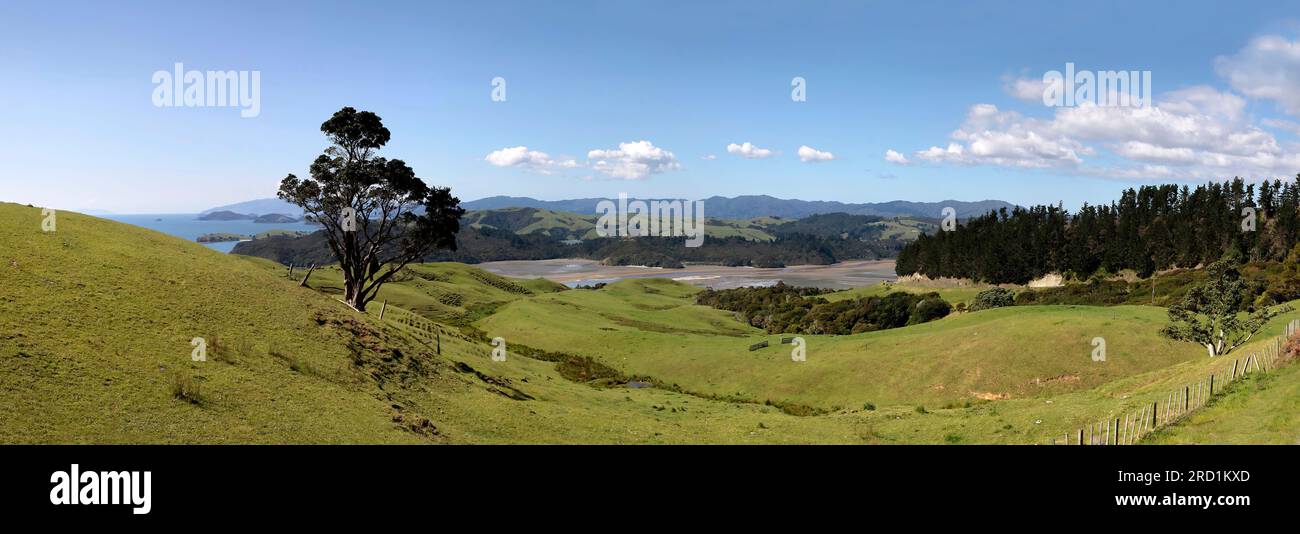 geography / travel, New Zealand, Waikato, meadow and hill on the