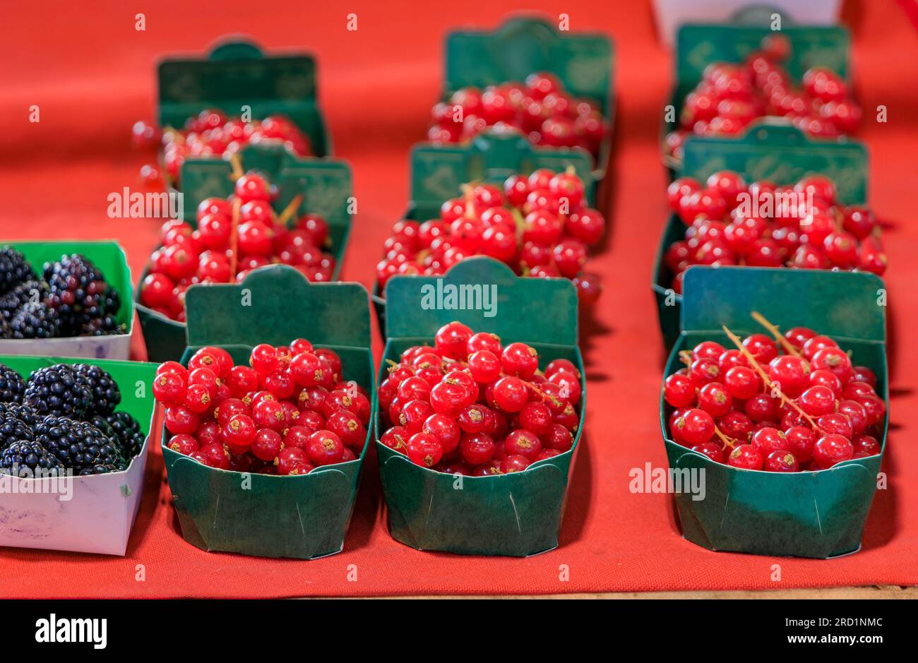 Juicy ripe local red currants and blackberries at a local covered provencal farmers market in old town or Vieil Antibes, South of France Stock Photo