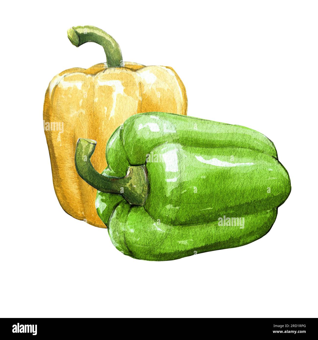 yellow bell pepper watercolor illustration on white background Stock Photo